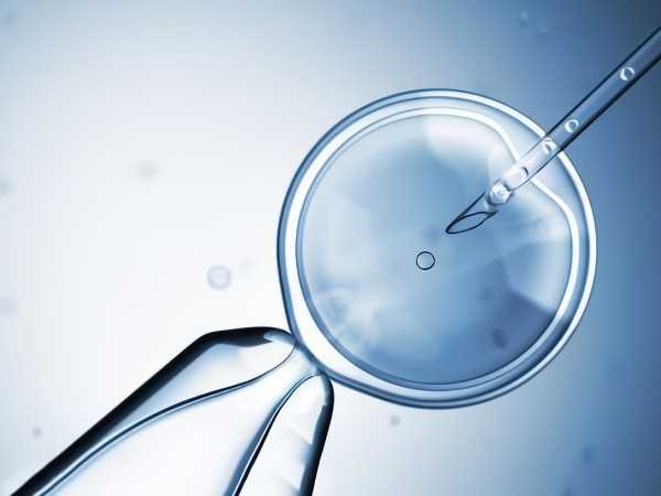 移植后没怀上，医生会不会没把胚胎放进去？