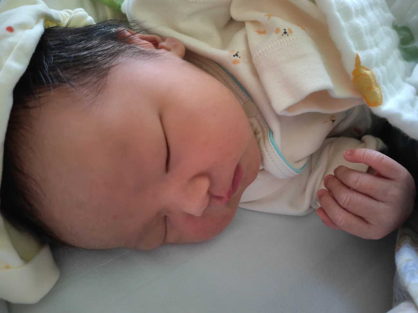 南京借卵试管可以吗，地下供卵中心