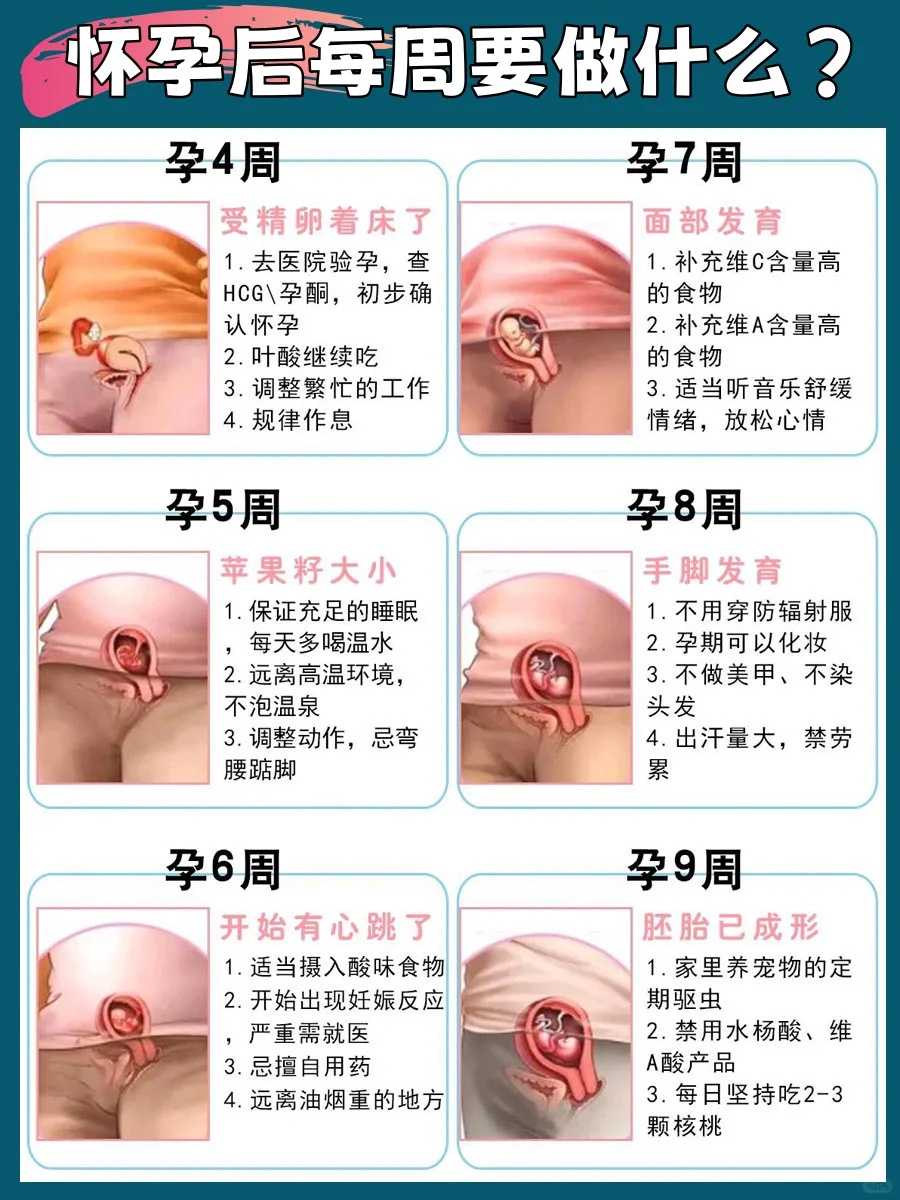 备孕叶酸怎么吃?吃叶酸可以补充什么食物?